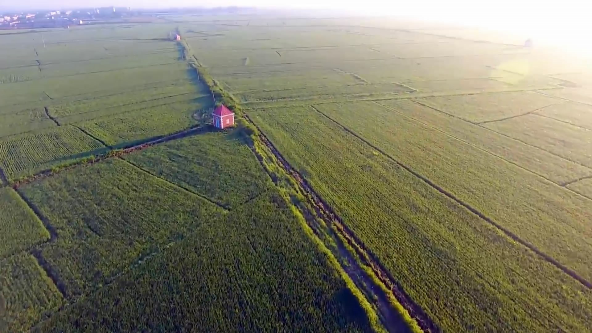 太阳城官网(中国)集团有限公司
